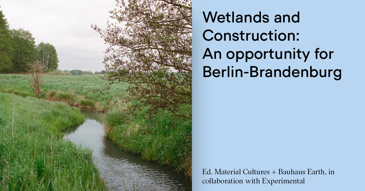 Report &#8211; Wetlands and Construction: An Opportunity for Berlin-Brandenburg